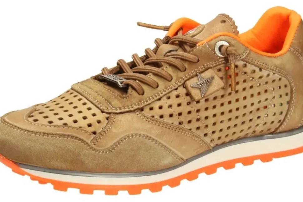 Cetti Herren Sneaker grün, silber, braun C848
