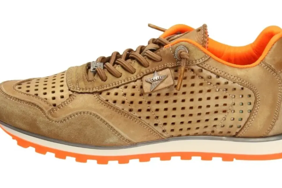 Cetti Herren Sneaker grün, silber, braun C848