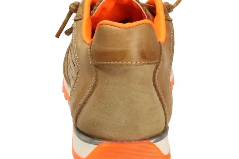 Cetti Herren Sneaker grün, silber, braun C848