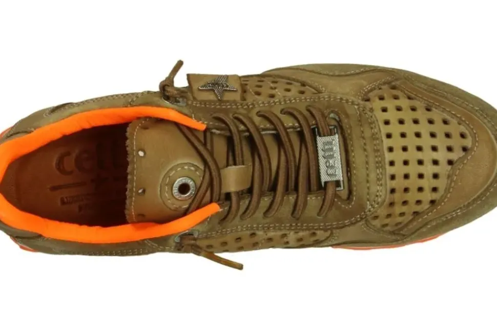 Cetti Herren Sneaker grün, silber, braun C848
