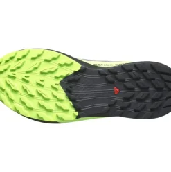 Salomon Sense Ride 5 Gore-Tex grau S15 L47312800