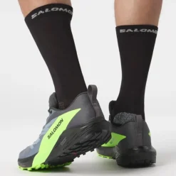 Salomon Sense Ride 5 Gore-Tex grau S15 L47312800