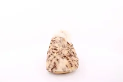 s`knöpfli Damen Hausschuh geschlossen leopardenmuster beige S23 Z29117